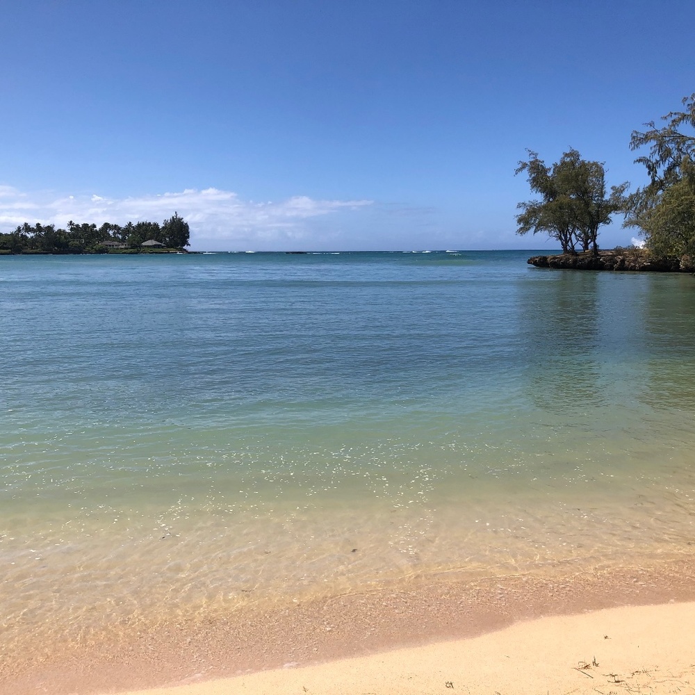 Meet your Posher, Leilani